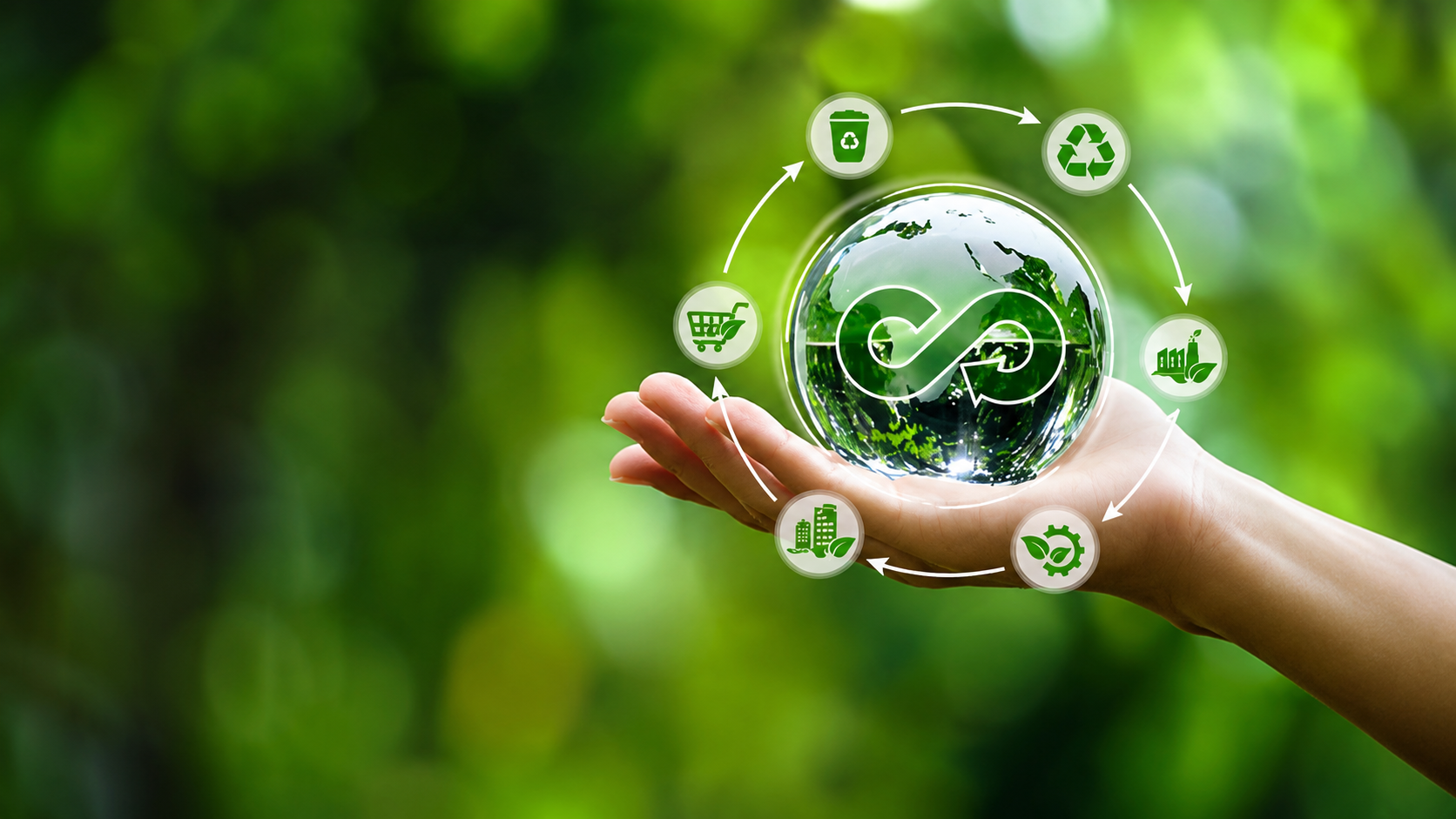 The Rise of Sustainable Businesses in the UAE